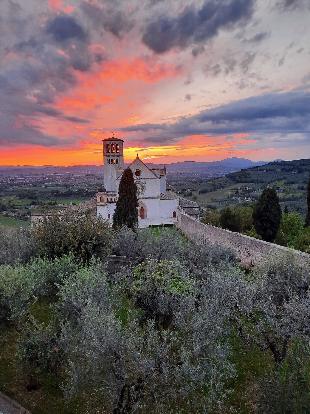 Assisi